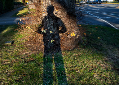 20251119-20251119-L1000896-Edit.jpg