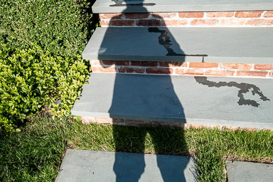 Self-portraits