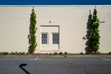 20240422-L1000040.jpg