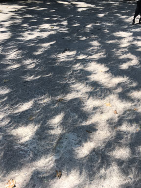 20170821-JW1B.jpg
