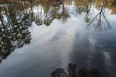 20230214-L1001035.jpg