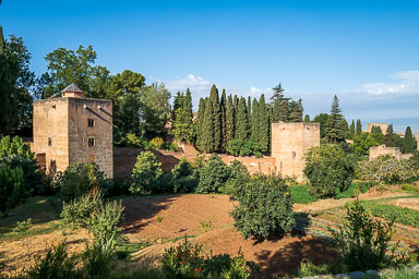 20220921-L1000416.jpg